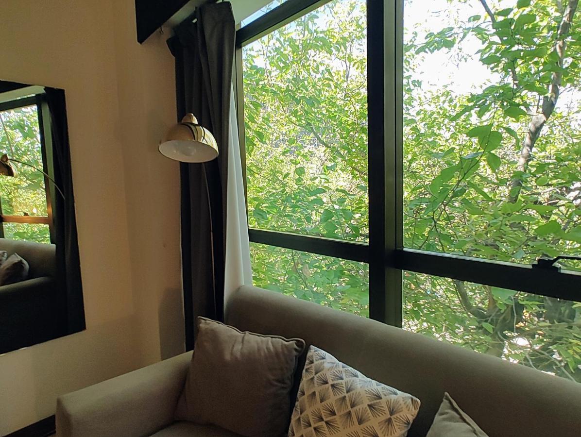 Terrazas De Colon 11 Apartment Mendoza Luaran gambar
